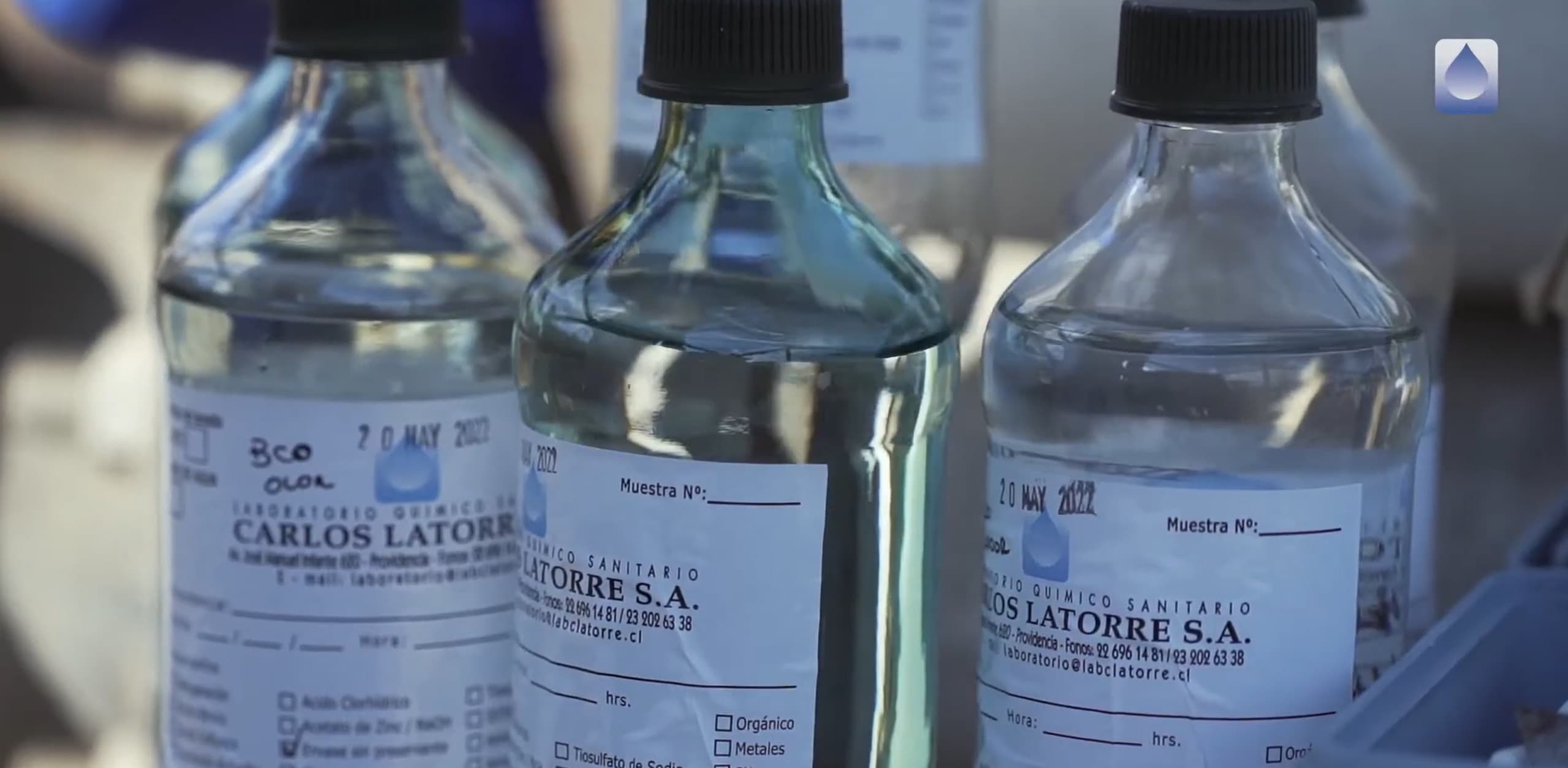 Frascos de muestra de agua etiquetados — Laboratorio Carlos Latorre
